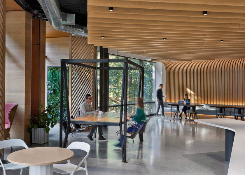 321023_300_N25_medium