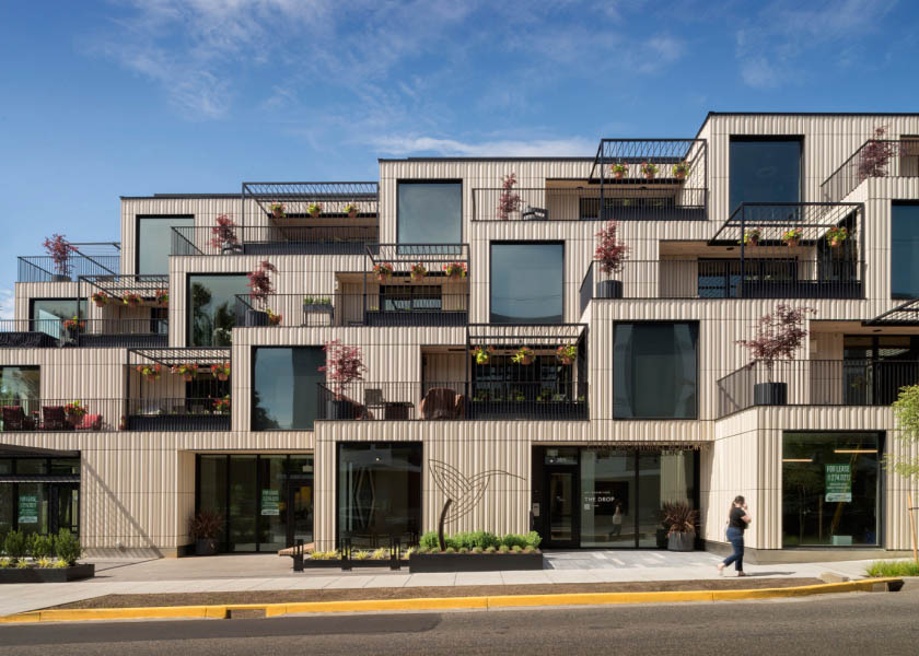 420007_300_N18_medium